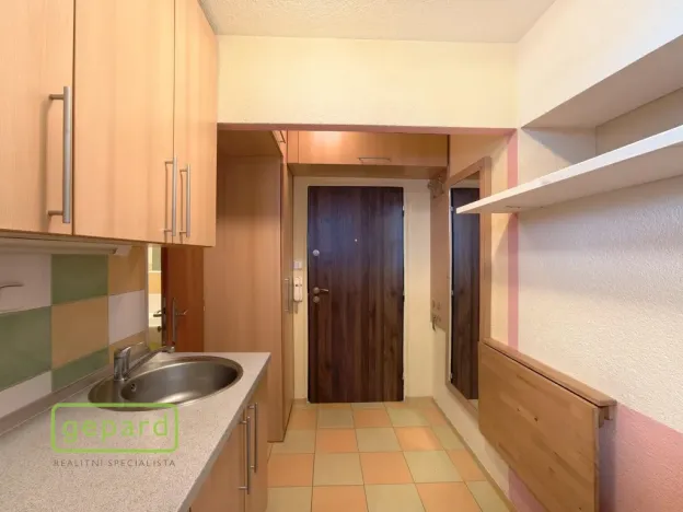 Pronájem bytu 1+kk, Bor, Borská, 20 m2