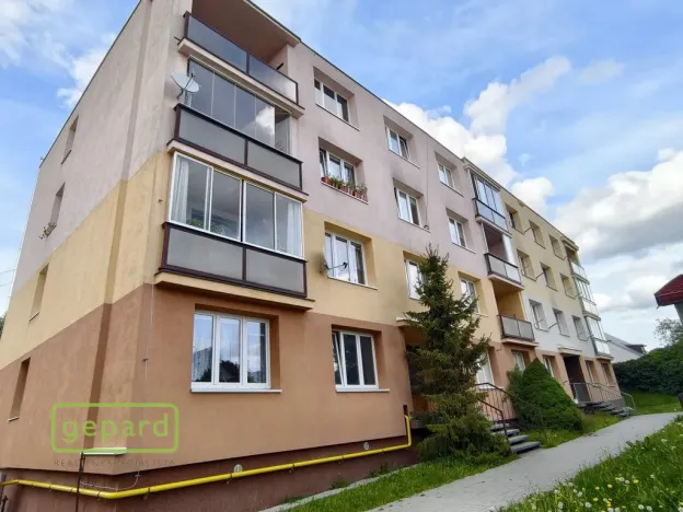 Pronájem bytu 1+kk, Bor, Borská, 20 m2