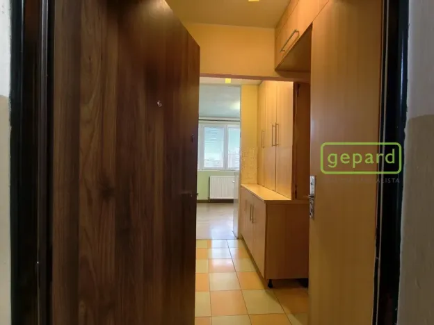 Prodej bytu 1+kk, Bor, Borská, 20 m2