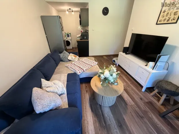 Prodej bytu 2+kk, Most, Jaroslava Haška, 39 m2