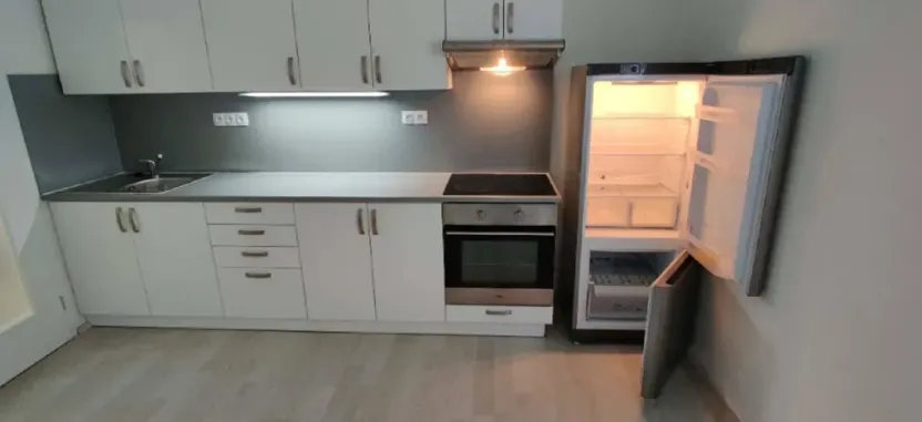 Pronájem bytu 1+kk, České Budějovice - České Budějovice 2, U Lesa, 26 m2
