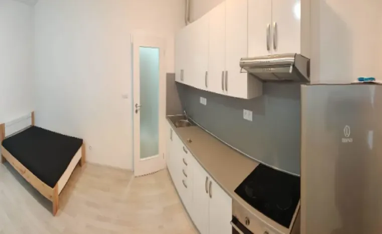 Pronájem bytu 1+kk, České Budějovice - České Budějovice 2, U Lesa, 26 m2
