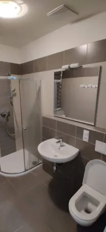 Pronájem bytu 1+kk, České Budějovice - České Budějovice 2, U Lesa, 26 m2