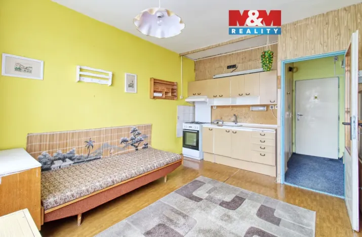 Prodej bytu 1+1, Litvínov - Horní Litvínov, Čapkova, 36 m2