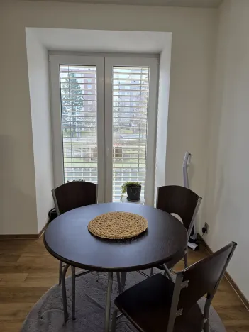 Pronájem bytu 1+kk, Plzeň, Na Rybníčku, 51 m2