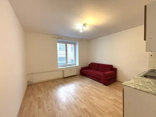 Pronájem bytu 2+kk, České Budějovice, Riegrova, 42 m2