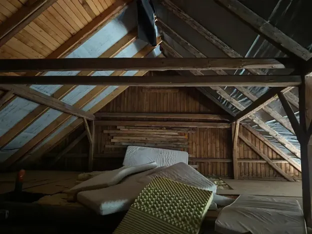 Prodej ubytování, Jedlová, 330 m2
