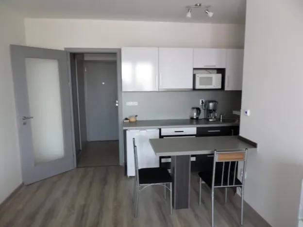 Pronájem bytu 1+kk, Chrudim - Chrudim II, Na Kopanici, 29 m2