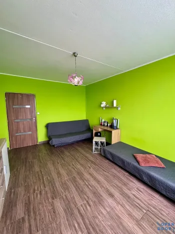 Prodej bytu 2+1, Chomutov, Borová, 60 m2