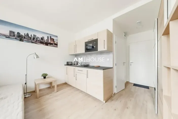 Pronájem bytu 1+kk, Praha - Radlice, Peroutkova, 18 m2