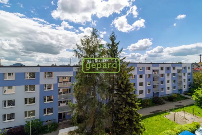 Prodej bytu 1+1, Nový Bor, Palackého, 35 m2