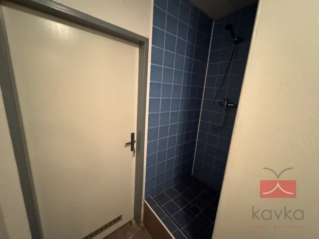 Pronájem komerční nemovitosti, Světlá nad Sázavou, Lánecká, 250 m2