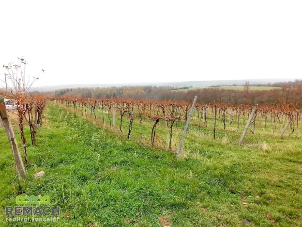 Prodej rodinného domu, Újezdec, 164 m2