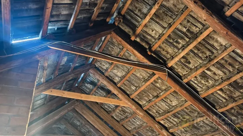 Prodej vícegeneračního domu, Vyškov - Dědice, Revoluční, 285 m2