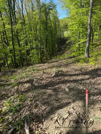 Prodej lesa, Hřivínův Újezd, 3320 m2