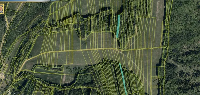 Prodej lesa, Hřivínův Újezd, 3320 m2