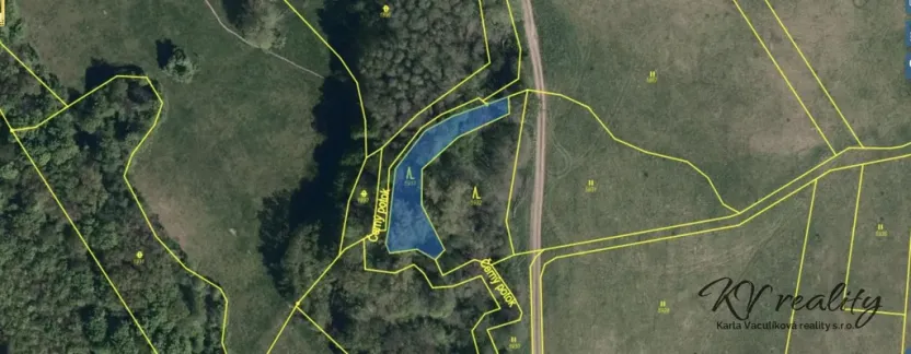 Prodej lesa, Hřivínův Újezd, 3320 m2