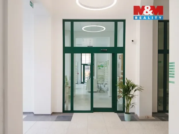 Prodej obchodního prostoru, Opava - Město, Masarykova třída, 160 m2