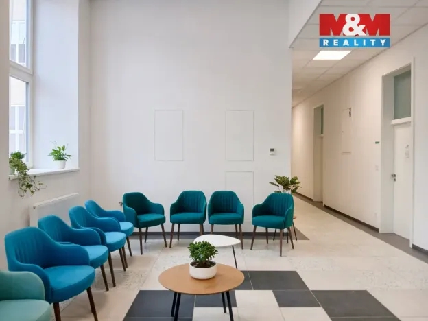Prodej obchodního prostoru, Opava - Město, Masarykova třída, 100 m2