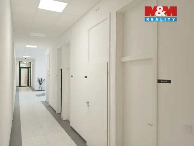 Prodej obchodního prostoru, Opava - Město, Masarykova třída, 50 m2