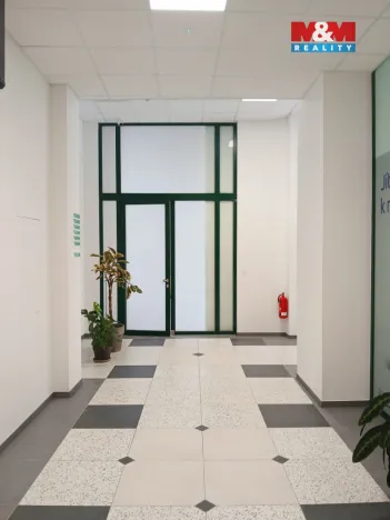 Prodej obchodního prostoru, Opava - Město, Masarykova třída, 40 m2