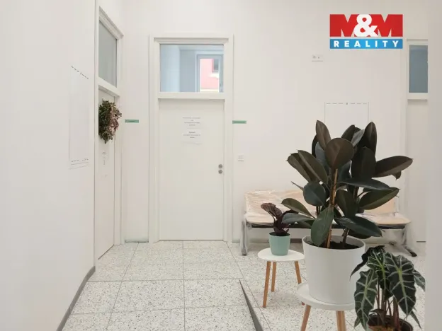 Prodej obchodního prostoru, Opava - Město, Masarykova třída, 20 m2
