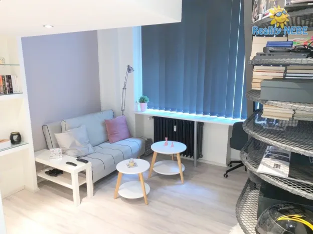 Pronájem bytu 1+kk, Praha - Vinohrady, Soběslavská, 20 m2