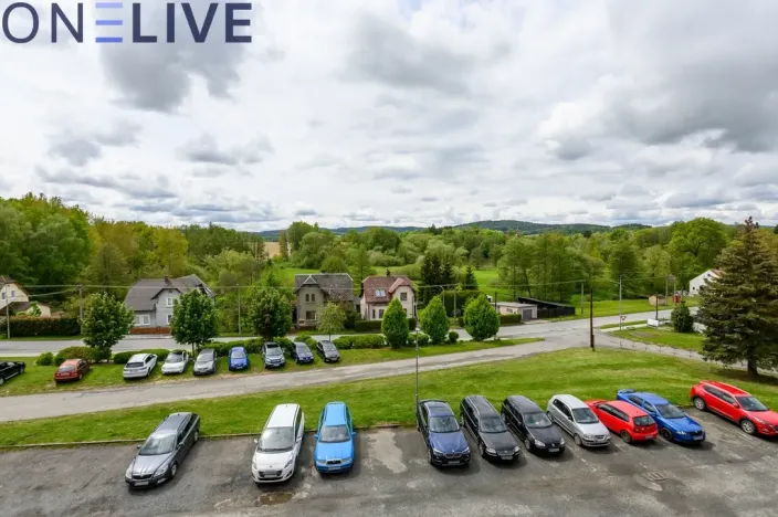 Prodej bytu 3+1, Staré Sedliště, 66 m2