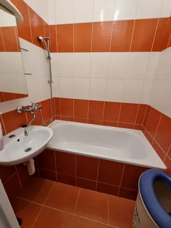 Pronájem bytu 2+1, Ostrava, Plavecká, 53 m2