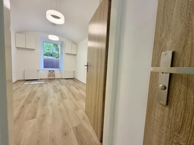 Pronájem bytu 1+1, Praha - Žižkov, Hartigova, 29 m2