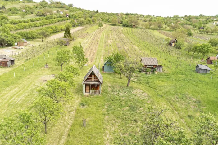 Prodej sadu/vinice, Strážnice, 5457 m2