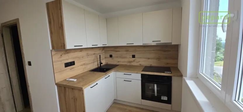 Prodej bytu 1+1, Světlík, 38 m2