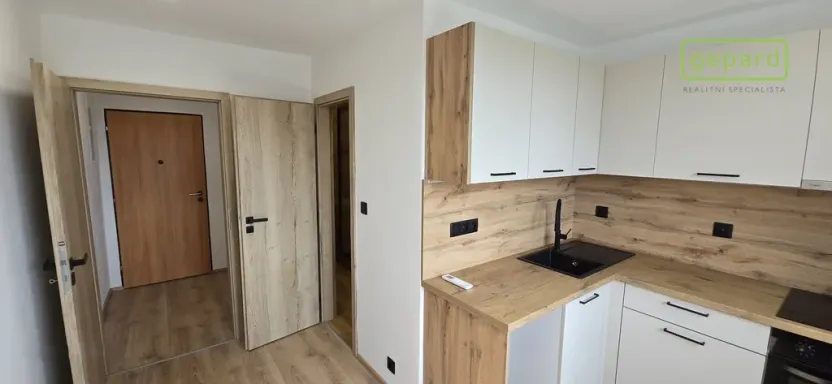 Prodej bytu 1+1, Světlík, 38 m2