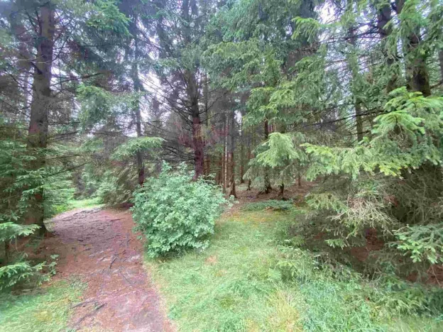 Prodej pole, Krásná, 1440 m2