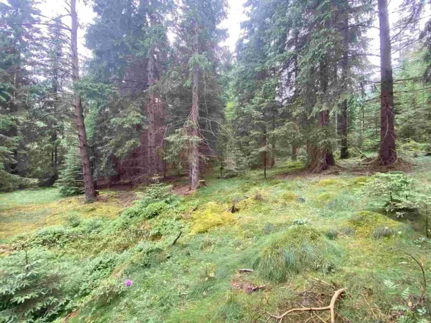Prodej pole, Krásná, 1440 m2