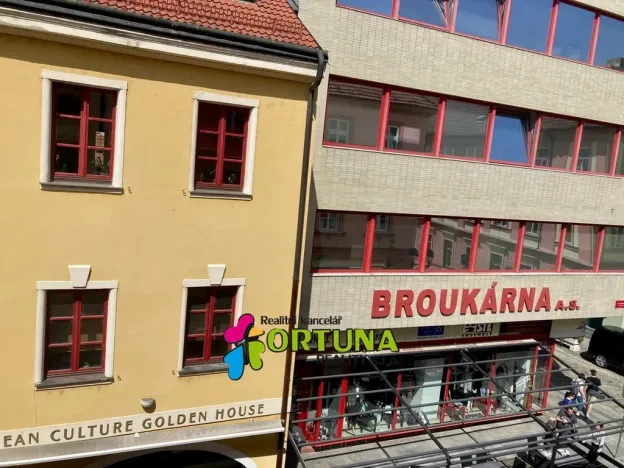 Pronájem bytu 2+kk, České Budějovice, Dr. Stejskala, 47 m2
