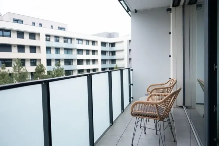 Prodej bytu 1+kk, Praha - Žižkov, Krásova, 41 m2