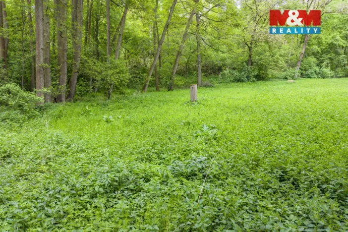 Prodej lesa, Červené Pečky - Bohouňovice I, 491 m2