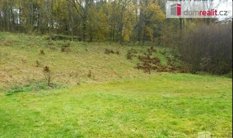 Prodej pozemku pro bydlení, Petrovice, 10000 m2