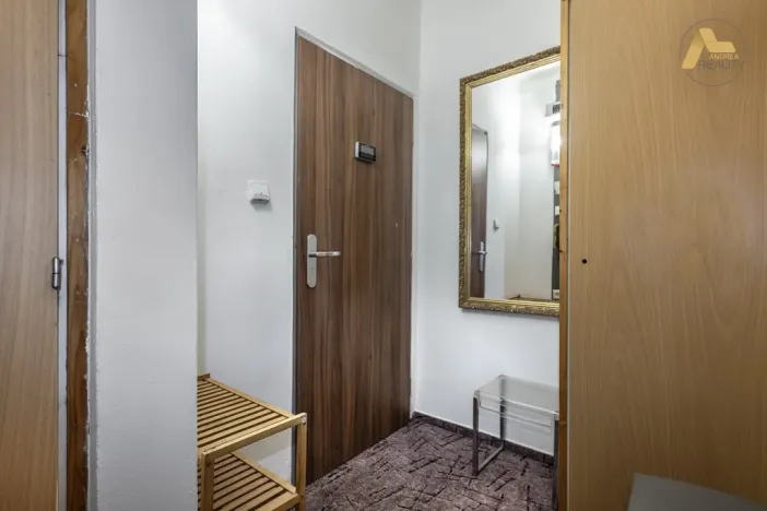 Pronájem bytu 1+1, Písek - Pražské Předměstí, Přemyslova, 42 m2
