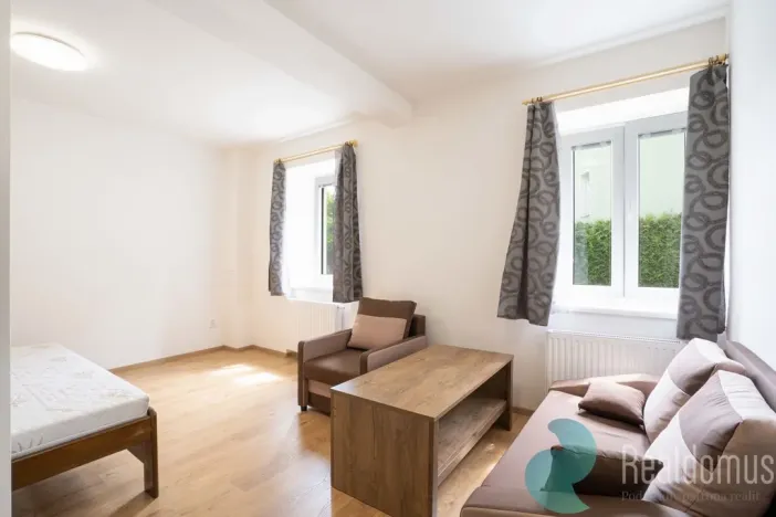 Pronájem bytu 1+kk, České Budějovice - České Budějovice 5, Prašná, 26 m2