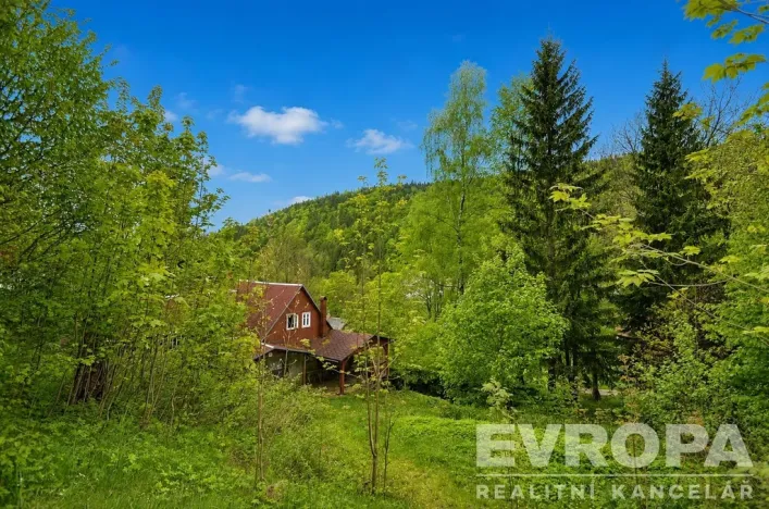 Prodej chalupy, Desná - Desná I, Výletní, 110 m2