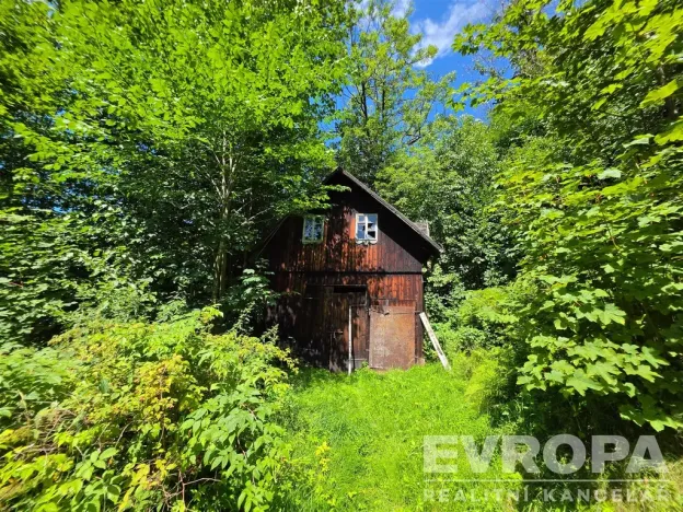 Prodej chalupy, Desná - Desná I, Výletní, 110 m2