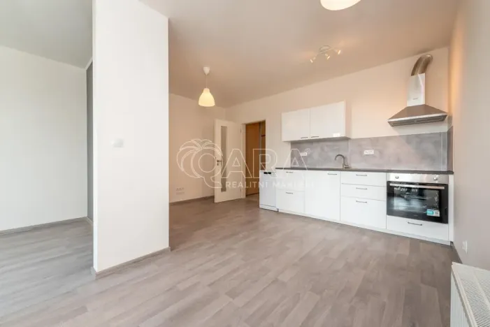 Pronájem bytu 2+kk, Praha - Žižkov, Olgy Havlové, 43 m2