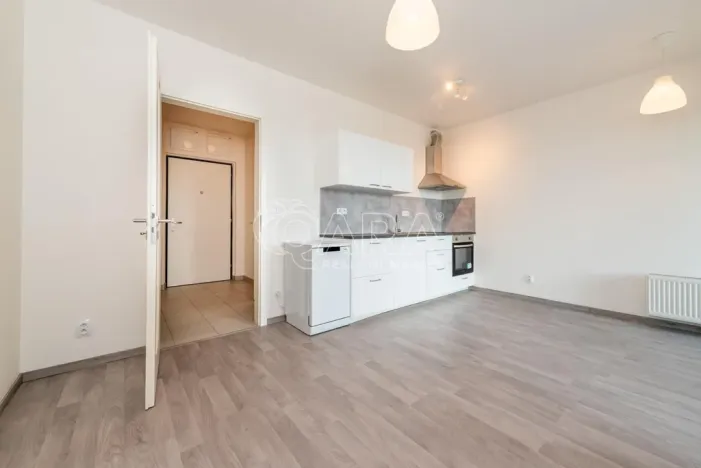 Pronájem bytu 2+kk, Praha - Žižkov, Olgy Havlové, 43 m2