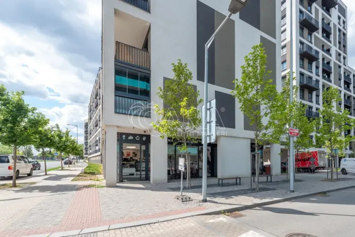 Pronájem bytu 2+kk, Praha - Žižkov, Olgy Havlové, 43 m2