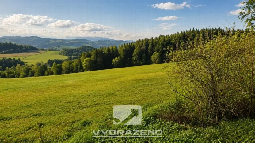 Prodej louky, Háje nad Jizerou, 5618 m2