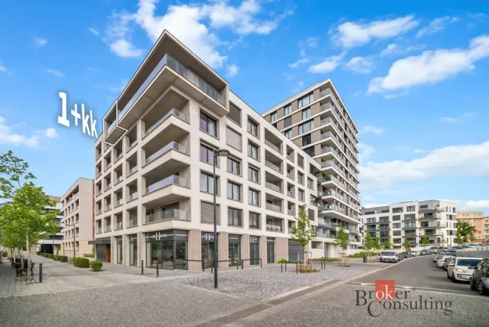 Pronájem bytu 1+kk, Praha - Žižkov, Tetauerova, 29 m2