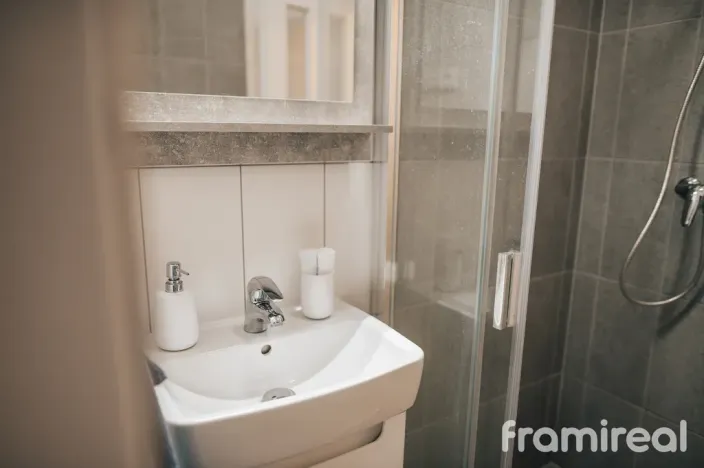 Pronájem bytu 1+kk, Brno, Palackého třída, 30 m2