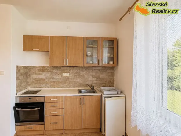 Pronájem bytu 1+kk, Ostrava, Krakovská, 27 m2